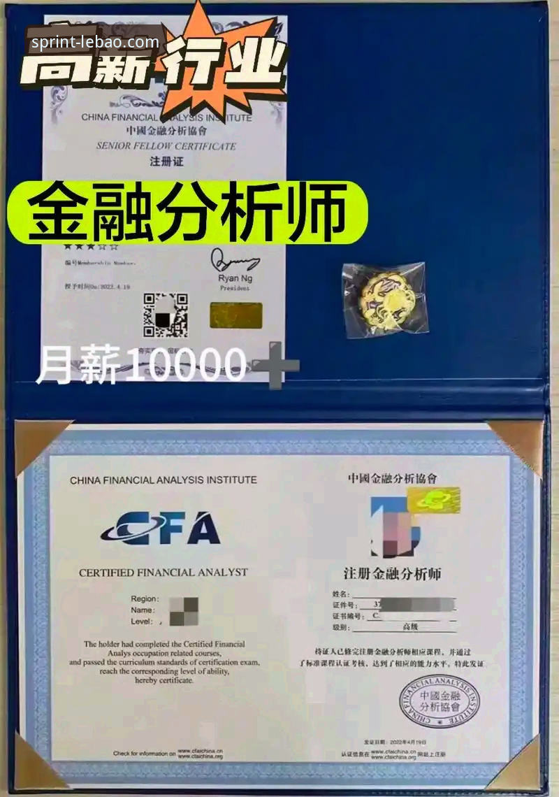 如何高效掌握乐宝体育官方入口攻略？专业分析师带你深度解析